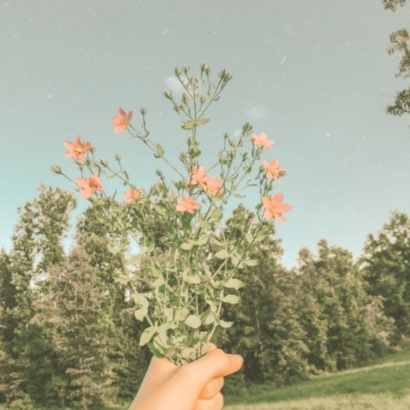 Meet your Posher, Abby - Picture 1 of 1